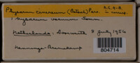 Image Associated With the Occurence